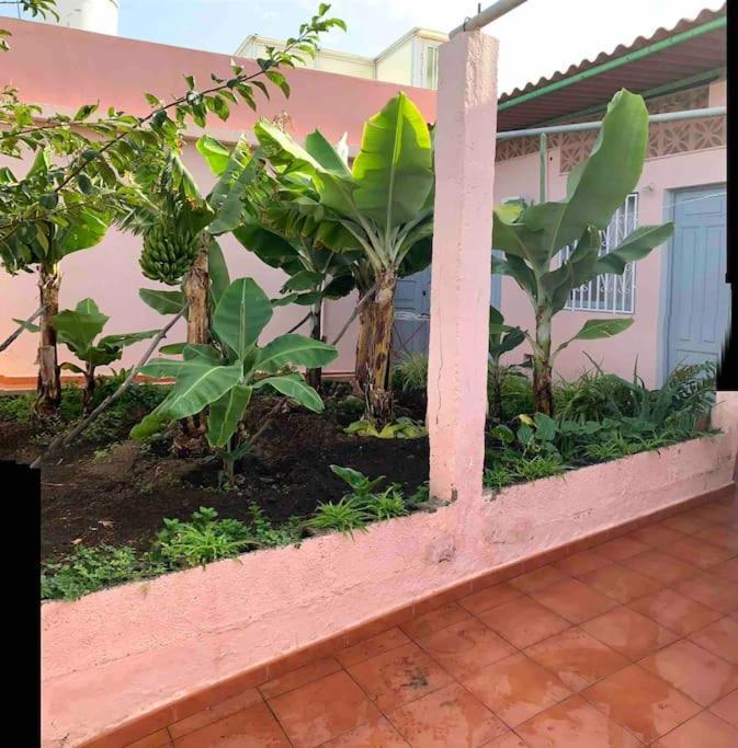伊科德·德·洛斯·维诺斯Paz Y Relax En Santa Barbara 110别墅 外观 照片